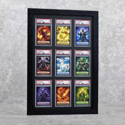 PSA Wall Frame Display